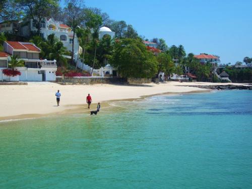 two people and a dog walking on the beach at La Romantica in Contadora