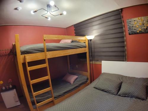ソウルにあるOlive hostel Wのベッドルーム1室(二段ベッド2組、ベッド1台付)