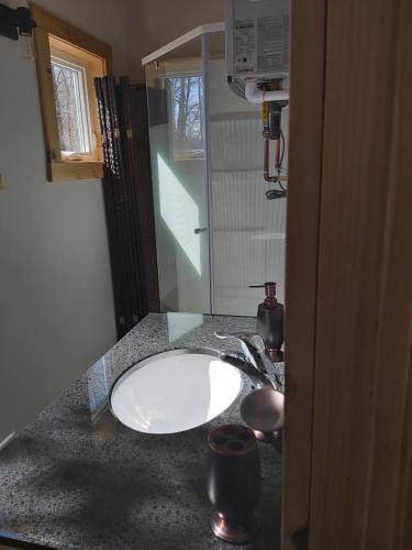 a bathroom counter with a sink and a mirror at Serene Westside Tiny Cabin in Clinton