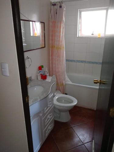 uma casa de banho com um lavatório, um WC e uma janela. em Colbun em Colbún