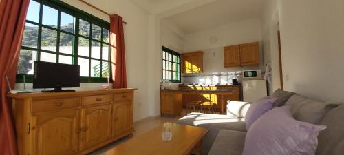 a living room with a couch and a tv on a wooden cabinet at Apartamentos Correhuela in Hermigua