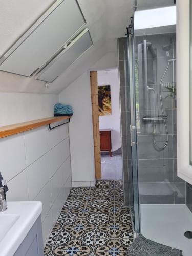 a bathroom with a shower with a glass door at Ferienhaus Landpause in Frohburg
