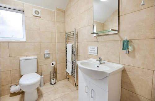 a bathroom with a white toilet and a sink at 4 Bed Executive Style House - Near City Centre in Swansea