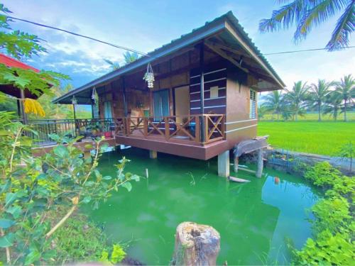 a house with a pond in front of it at The Family Farm Stay in Cauayan City