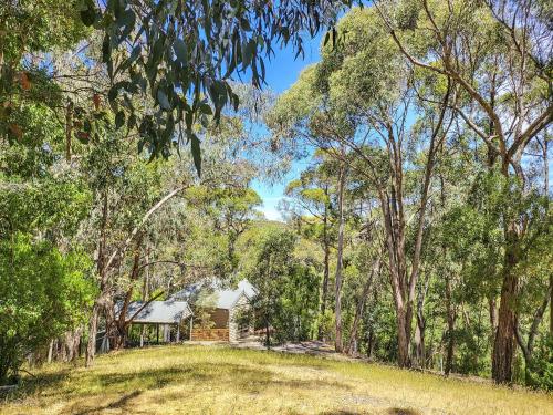 a house on a hill in the middle of trees at Tarilta Cottage in Hepburn Springs