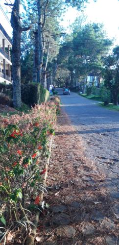 a street with a tree and flowers on the side of a road at Villa Elisabeth at Villa Istana Bunga in Bandung