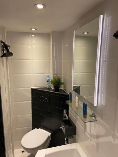 a bathroom with a toilet and a sink and a mirror at Apartment Malisa in Zandvoort
