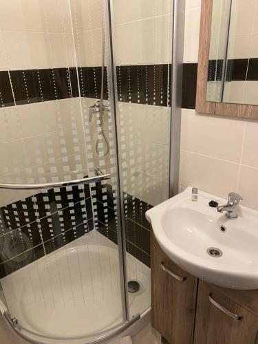 łazienka z prysznicem i umywalką w obiekcie Restaurant Motel Hana Barbara Gastro sro w mieście Ostřetín