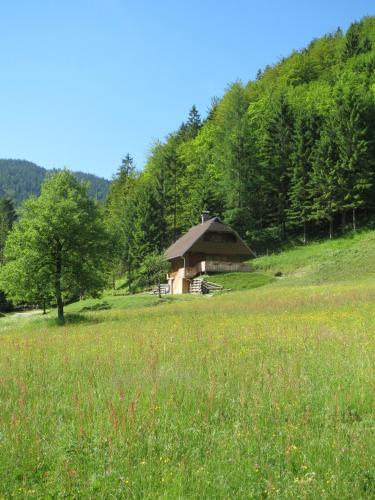 Apartmaji Brložnica pod Veliko planino