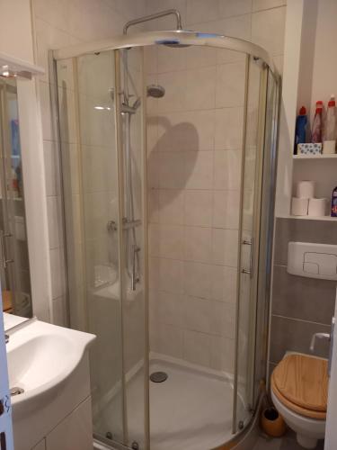 une douche avec une porte vitrée dans une salle de bain dans l'établissement Studio avec terrasse en résidence calme à Dijon., à Dijon