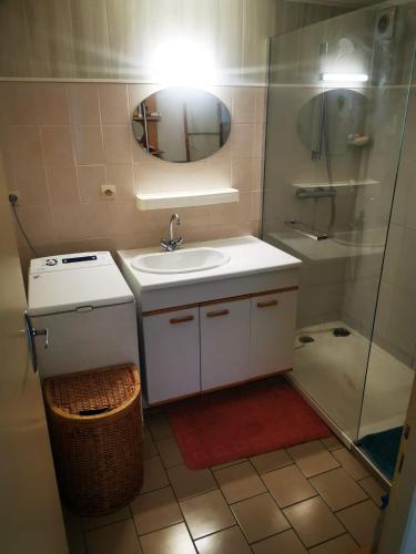 a bathroom with a sink and a shower with a mirror at chambre privée chez l'habitant et partage des partie communes in Chail