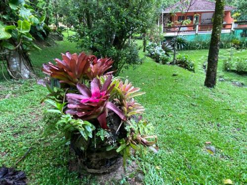 Κήπος έξω από το Pousada Ribeirao da Floresta