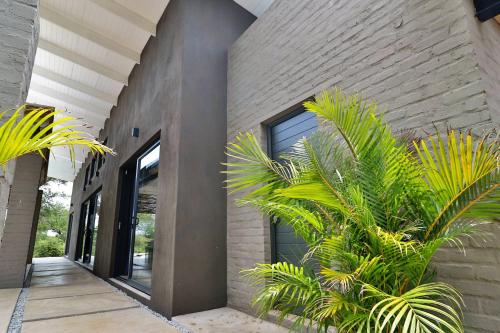 a building with palm trees in front of it at Umkhaya in Marloth Park