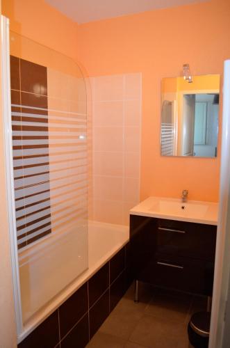 a bathroom with a shower and a sink and a mirror at Les Reflets d'Ax in Ax-les-Thermes