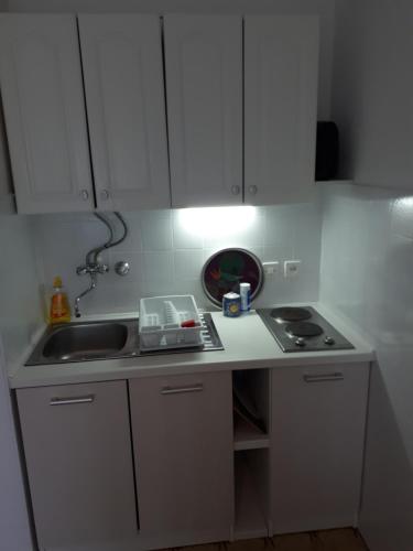 Kuchyňa alebo kuchynka v ubytovaní Apartments Baric