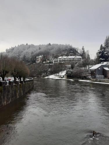a river with a person swimming in it at Chez petit Gust Welkom in La Roche en ardenne in La Roche-en-Ardenne