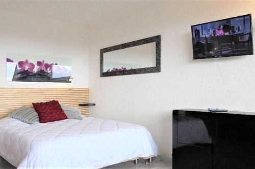 um quarto com uma cama e uma televisão de ecrã plano em Cap d'Agde Naturist Héliopolis O 33 em Cap d'Agde