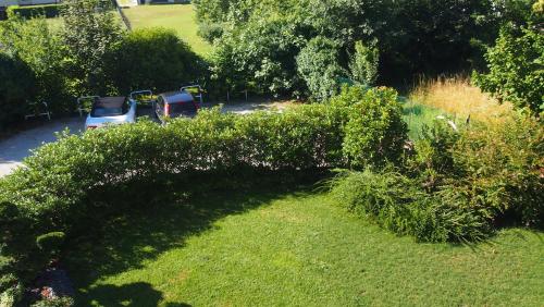 a bush in a yard with cars parked in a parking lot at INGRAPPA CUBE in Borso del Grappa