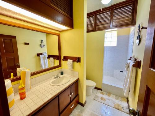 a bathroom with a sink and a toilet and a mirror at Belizian Reef Suites in San Pedro