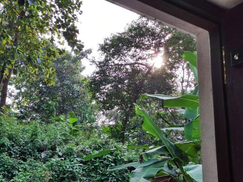 a view from a window of a forest of trees at Schatzi's Hideaway in Tangalle