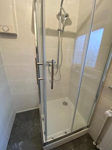 a shower with a glass door in a bathroom at Ferienwohnung Waschinski in Goslar