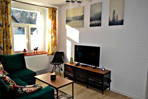 een woonkamer met een groene bank en een flatscreen-tv bij Szmer Potoku in Świeradów-Zdrój