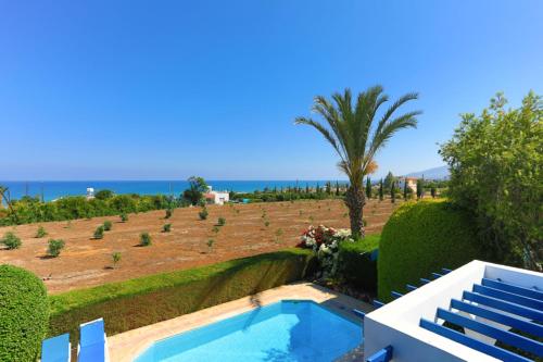 a villa with a swimming pool and a palm tree at Lemon Grove Villa Ena in Argaka