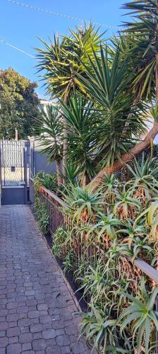 a garden with palm trees and a fence at Ca'del pescatore in Sanremo
