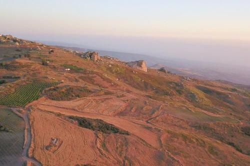 an aerial view of a hill with a vineyard on it at Villa Styliani in Droushia