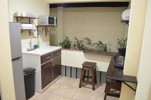 a kitchen with a sink and a counter with plants at #3 Private room Close to Airport in Alajuela