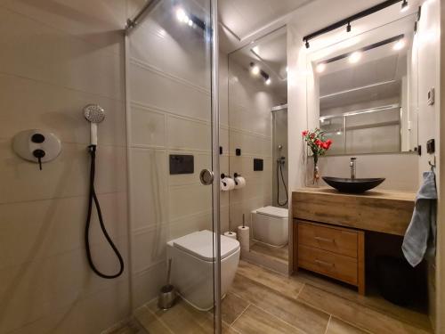 a bathroom with a shower and a toilet and a sink at Residence Bali in Torrevieja