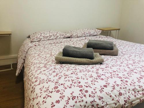 1 dormitorio con 1 cama con 2 almohadas en Appartement T2 proche gare - DABNB en Limoges