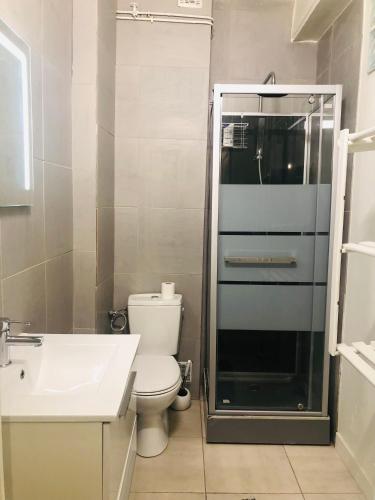 y baño con aseo, lavabo y ducha. en Appartement T2 proche gare - DABNB, en Limoges