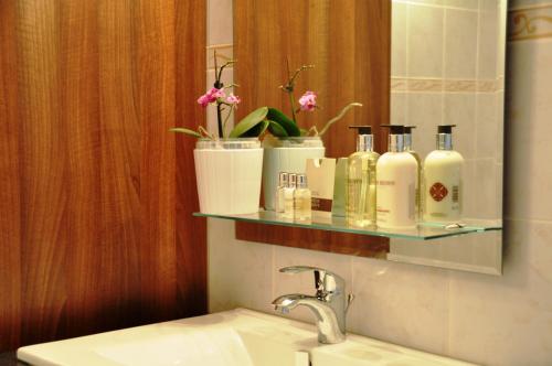 y baño con lavabo y espejo. en Green Terrace Apartment Budapest, en Budapest