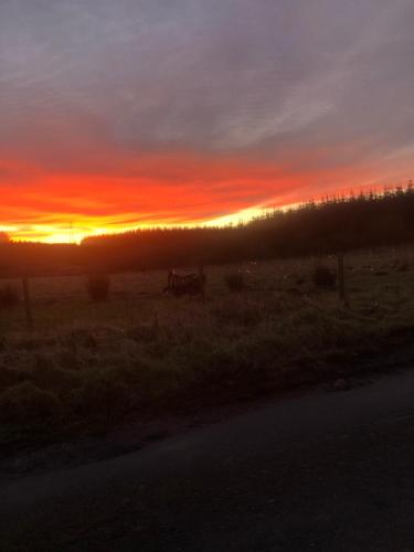 a sunset in a field with the sun setting in the background at Browns in Peterhead