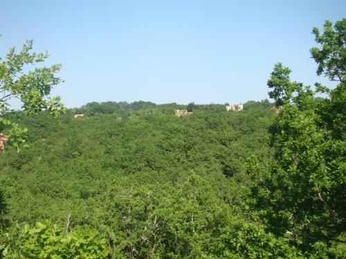 una colina con árboles y casas a lo lejos en CAMPING LES GRAVES - Cabane TITHOME en Saint-Pierre-Lafeuille