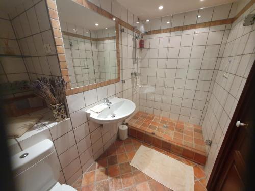 a bathroom with a sink and a toilet and a mirror at La Maison Provençale in La Roquebrussanne