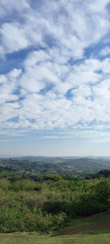 Un paisaje natural cerca del departamento