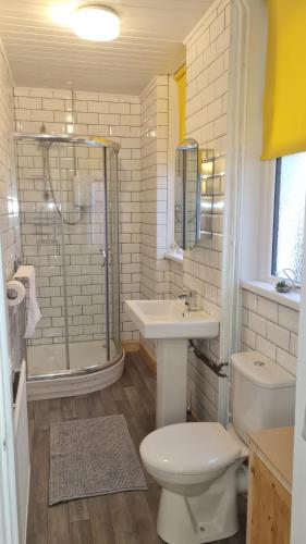 Fairoak Lodge في نيوبورت: حمام مع مرحاض ومغسلة ودش