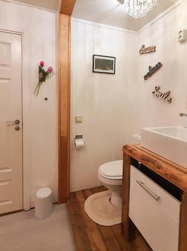 a bathroom with a toilet and a sink at Aline's Stue, B&B Utskarpen in Fuglstad