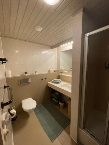 Koupelna v ubytování Hundefreundliche Bergwohnung neben der Skipiste - Mittelstation Skigebiet Gerlitzen