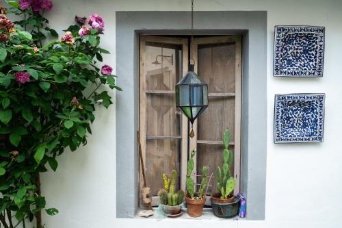 a door with potted plants in front of a window at Il Vecchio Comune in Santa Sofia