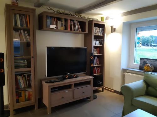 a living room with a flat screen tv and book shelves at Gîte de la Grande Rainette in Grosne