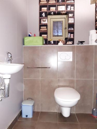 a bathroom with a toilet and a sink at Gîte de la Grande Rainette in Grosne