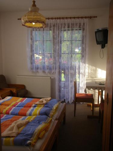 a bedroom with a bed and a desk and a window at Pension Luscinia in Harrachov