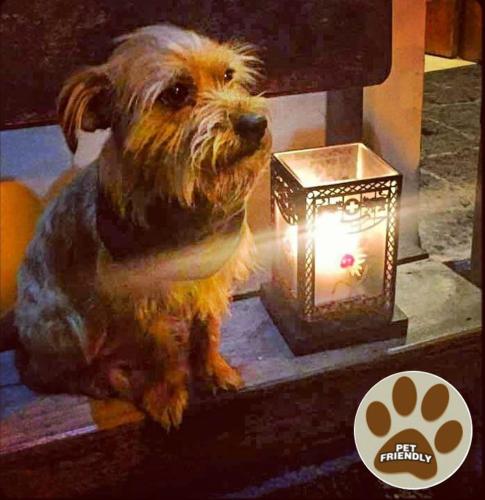 a small dog sitting next to a lit candle at Finca de la Vaca - Family House in Mera