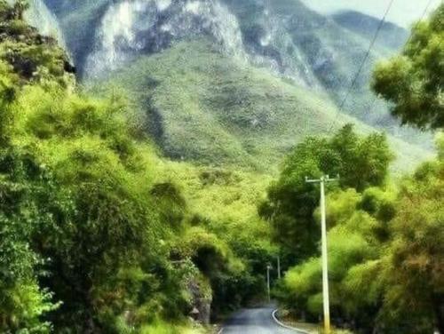 a road in the middle of a mountain at La Casita Inn Bustamante in Bustamante