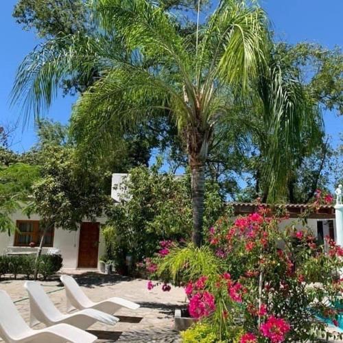 a group of chairs and a palm tree and flowers at La Casita Inn Bustamante in Bustamante