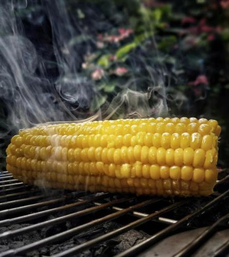 an ear of corn cooking on a grill at La Casita Inn Bustamante in Bustamante