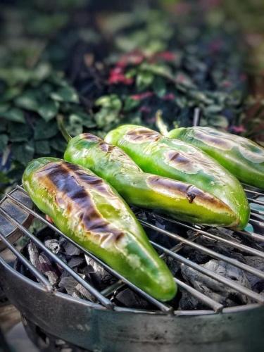 three pickles cooking on a grill at La Casita Inn Bustamante in Bustamante
